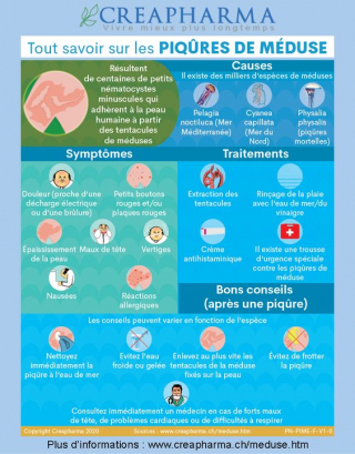 Illustration de l'article : Les plages du littoral français infestées par les méduses – Que faire en cas de piqûre ?