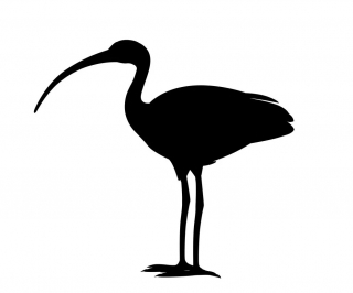 Illustration de l'article : Test de personnalit&eacute; : d&eacute;couvrez qui vous &ecirc;tes r&eacute;ellement en choisissant un symbole &eacute;gyptien