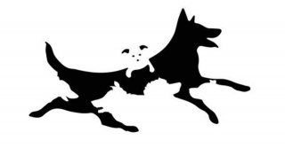 Illustration de l'article : Test de personnalité : le nombre de chiens que vous voyez détermine votre âge mental