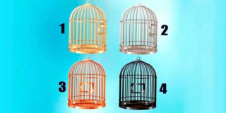 Illustration de l'article : Test de personnalit&eacute; : choisissez une cage et d&eacute;couvrez vos limites