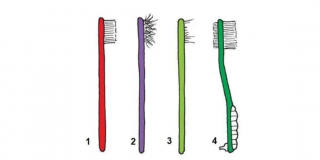 Illustration de l'article : Test de personnalité : la brosse à dents que vous possédez en dira long sur vous