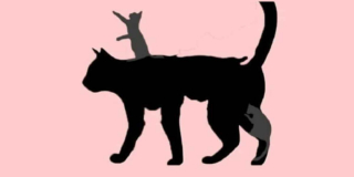 Illustration de l'article : Test de personnalité : le nombre de chats que vous voyez dans cette image révèle votre âge mental