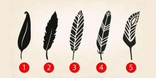 Illustration de l'article : Test de personnalité : la plume que vous choisirez en premier révèlera une part de votre personnalité