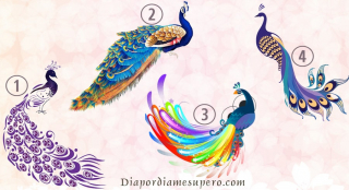 Illustration de l'article : Test de personnalité : choisissez un paon et découvrez quel type d'ami vous êtes