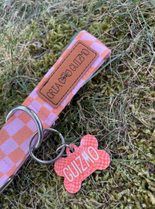 Illustration de l'article : Pour faciliter l'identification des animaux, cette entreprise propose une médaille personnalisée à moins de 7 €