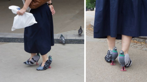 Illustration : "Au Japon, une femme effraie les passants avec des chaussures en pigeons"