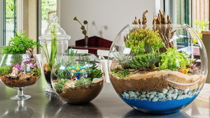 Illustration : "Comment créer votre propre jardin miniature pour donner de l'originalité à votre intérieur"