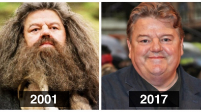 Illustration : Voici à quoi ressemblent les acteurs de la saga Harry Potter 16 ans après