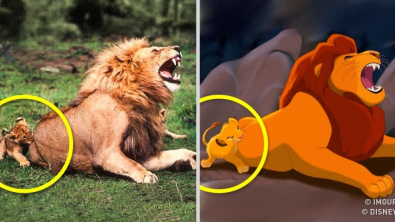 Illustration : "14 sosies vivants de nos personnages de Disney préférés"