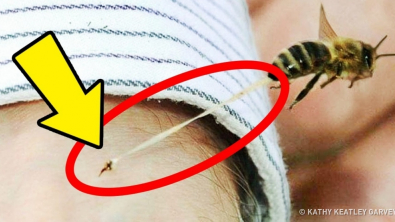 Illustration : 26 faits réels que vous ignorez et qui sont pourtant totalement vérifiés