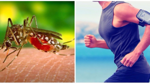 Illustration : "7 raisons pour lesquelles les moustiques vous piquent plus vous que les autres"
