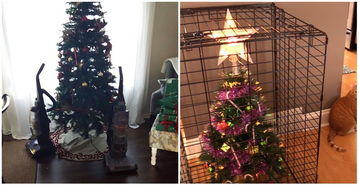 Idees Pour Empecher Votre Animal De Compagnie De Detruire Votre Arbre De Noel Idees Pour Empecher Votre Animal De Compagnie De Detruire Votre Arbre De Noel