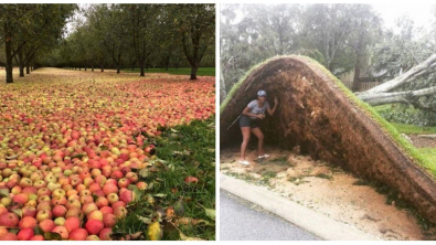 Illustration : "20 photos dévoilant toute la puissance de la nature"