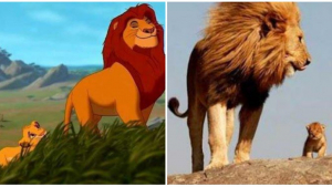 Illustration : "11 scènes réelles et identiques à celles vues dans les dessins animés de Disney "