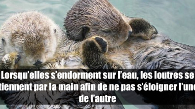 Illustration : 19 internautes expriment sur le net une phrase qui les rendait heureux