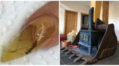 Illustration : 18 idées DIY plus étranges les unes que les autres