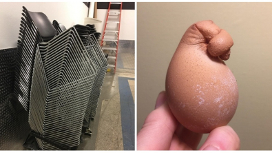 Illustration : Ces 24 photographies qui donnent l'illusion de voir autre chose