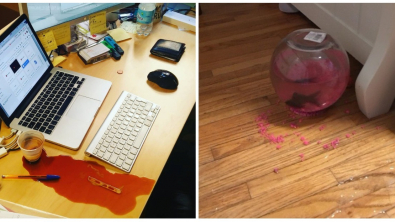 Illustration : Ces 24 personnes dont la chance est leur compagnon de route