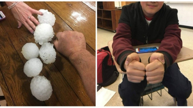 Illustration : Ces internautes partagent 17 cas rares qu'ils ont pris en photos