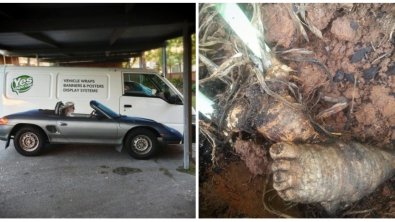 Illustration : Ces 25 photos trompent la vision grâce à l'angle de vue