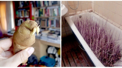 Illustration : Ces 26 photos qui font apparaître la face cachée des objets