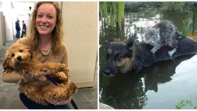 Illustration : Ces 23 instants qui montrent un monde meilleur que ce qu'il laisse apparaître