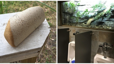 Illustration : Ces 14 photos de choses étranges et inhabituelles