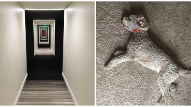 Illustration : Ces 22 photos qui donnent matière à réflexion