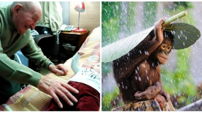 Illustration : Ces 18 photos qui illuminent la journée