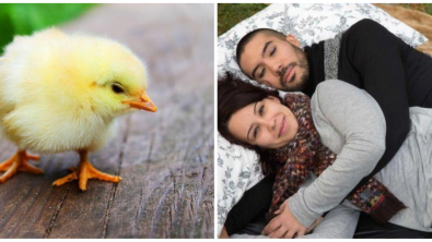 Illustration : Ces 10 métiers insolites à travers le monde très bien payés