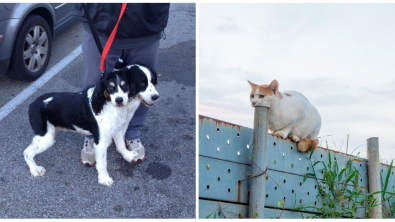 Illustration : Ces 21 photos qui semblent montrer autre chose