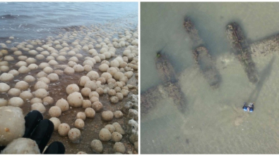 Illustration : Ces 14 découvertes inattendues sur les plages du monde