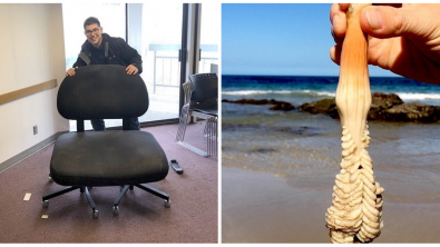 Illustration : Ces 21 découvertes étranges à examiner de près