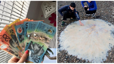 Illustration : Ces 17 faits à savoir sur l'Australie