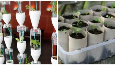 Illustration : Ces 17 astuces pourraient sauver la planète et l’humanité