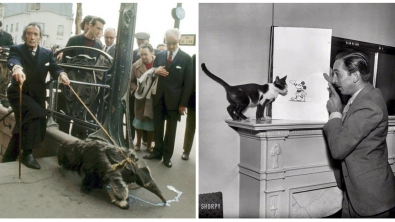 Illustration : Ces 24 photos rares d'événements historiques