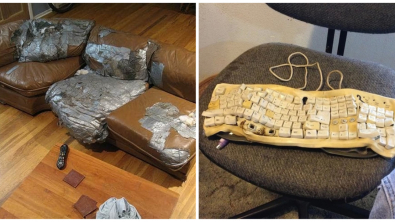 Illustration : Ces 16 situations ennuyeuses du quotidien