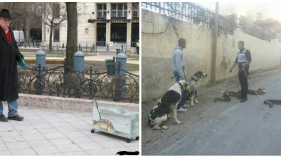 Illustration : Ces 19 photos surréalistes qui pourraient venir d'une autre planète