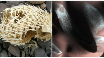 Illustration : Ces 18 banalités de la vie... pas si ordinaires