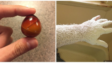 Illustration : Ces 17 photos qui n'ont pas besoin de Photoshop !