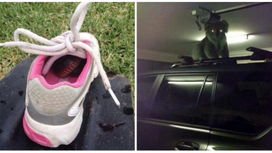 Illustration : Ces 19 raisons qui font de l'Australie un pays pas comme les autres