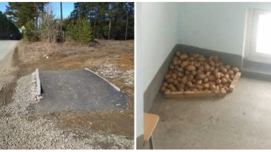 Illustration : Ces 12 photos de personnes ne voulant pas faire comme tout le monde