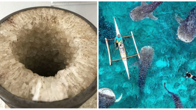 Illustration : Ces 13 photos qui montrent que notre monde est spécial