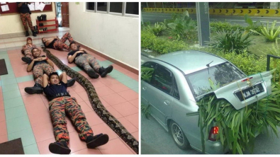 Illustration : Ces 20 photos qui montrent la particularité des pays asiatiques