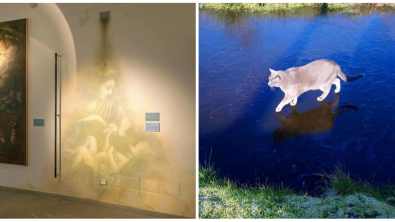 Illustration : Ces 13 photos qui montrent que l'on peut faire des découvertes tous les jours