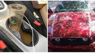 Illustration : Ces 20 personnes qui préfèrent oublier cette journée