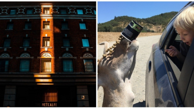 Illustration : Ces 20 photos prises au moment parfait pour en faire une oeuvre d'art