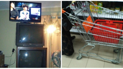 Illustration : Ces 18 champions du monde de la paresse