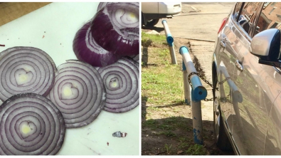 Illustration : Ces 14 photos qui rendent de bonne humeur