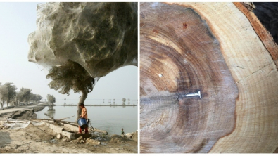 Illustration : Ces 15 photos de curiosités qui n'ont pas été retouchées